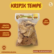 TEMPE CHIPS FLOUR TEMPE/ 300 GR PURWOKERTO SOUVENIRS/