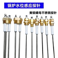 Boiler Water Level Probe Jiangxin Shengtian Steam Generator Probe Liquid Level Control Sensor Probe 