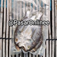 *PROMO* Ikan Gelama Bekok Kelantan Kurang Masin