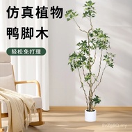 High-End Green Plant Decoration Hotel Duck Feet Wooden Light Luxury Facade Bonsai Living Room Simula
