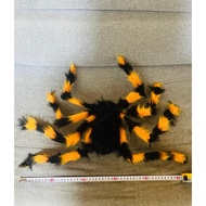 (SG shop) Halloween spider deco furry spiders and spider web for halloween party decoration