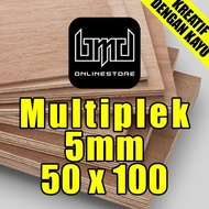 TRIPLEK / MULTIPLEK 5MM (50X100 )CM