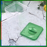 Fish Hatching Box Acrylic Isolated Breeding Tank Green for Aquarium Home Use Protecting Pregnant and