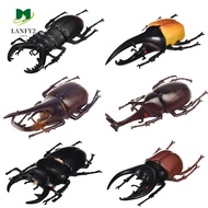 ALANFY Simulation Beetle Non-Toxic Science Toy Insect Toy Simulation Animals Fake Beetle Beetle Figu