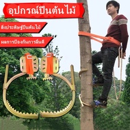 อุปกรณ์ปีนต้นไม้ อุปกรณ์ปีนเสาไม้ รองเท้าปีนต้นไม้
