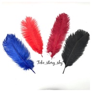 1PC - KASUARI FEATHERS SIZE 25-30 CM GRAIN/