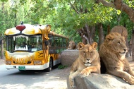 【二晚市區】歡樂愛寶樂園&amp;野生動物園、跑跑卡丁車、小威尼斯、明洞5日