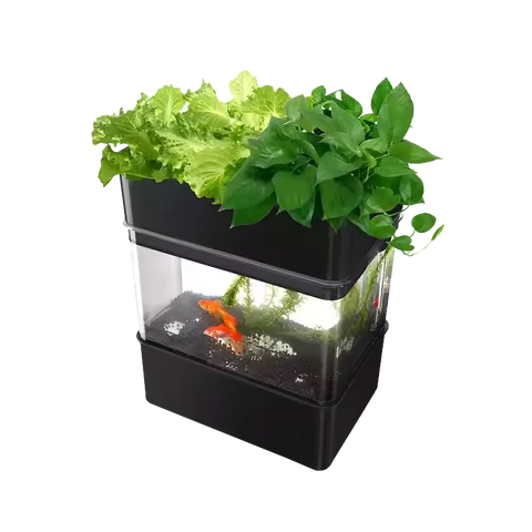 Aquaponics & Hydroponics EUROPEAN
