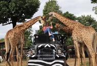 (Free eSIM) New Zoo in Ayuthaya & Must-See Temples & Thai Costume