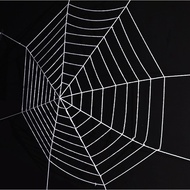 Fake Spider Web Halloween Party Decoration