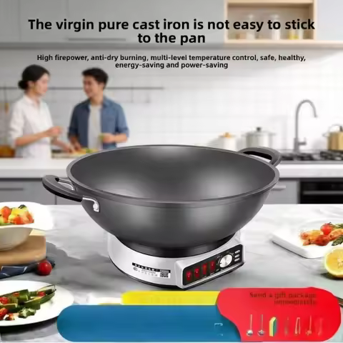 Real cast iron electric frying pan steaming cooking frying stewing electric steamer electric hot pot