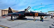  1/32 美軍 F-5E(TOP GUN塗裝) &amp; 國軍F-5F虎斑迷彩紀念塗裝