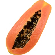 15pcs Biji Benih Betik  Sekaki/ Sekaki Papaya Seed/ /Sekaki木瓜种子
