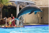 Tiket Bali Exotic Marine Park