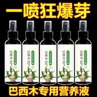 3.47 Readystock Brazilian Wood Nutrient Solution Special Fertilizer Lucky Wood Hydroponic Promote Bu