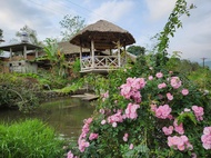 Rumah studio 120 m² dengan 2 kamar mandi pribadi di Ha Giang (Dong Que homestay)