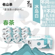 Here Here's the Mountain Tea Iceland White Tea Cloud White Needle Cloud South Iceland Authentic Whit