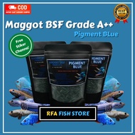 Bsf Dry Maggot Grade A++ Pigment BLUE Predatory Fish Feed channa pulcra auranti Not el barca
