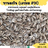 24 Sunflower Epot (Sold Separately 500G.-1KG.) Parrot Food Hamster And Rodents