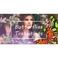 Butterflies Transitions + Music – Motionarray 227558 [download]