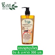 ชีววิถี แชมพูสมุนไพรสูตรขิงมะหาด 300 มล.Bio Way Ginger &amp; Lakoocha Herbal Shampoo 300 ml.