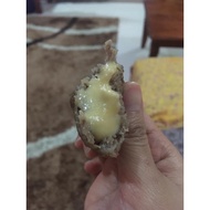 Keropok Lekor Mozarella Cheese