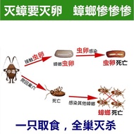 杀蟑螂药粉，蟑螂药，Cockroach medicine，Ubat lipas，一窝端，蟑螂药，Acaricide powder, one litter, peony