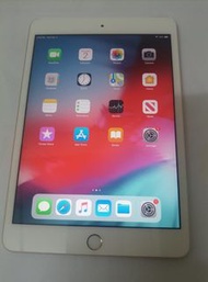 iPad mini 3 with wifi and simcard