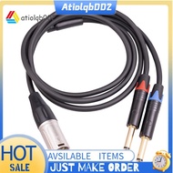 Dual 6.35mm 1/4 In to XLR Male Y Splitter Cable,3Pin XLR Male to Dual 6.35mm Plug Audio Microphone C