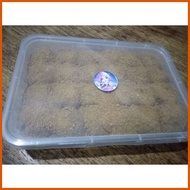 ∥ ∷ ◨ Graham Balls Original Honey Grahams 24 pcs