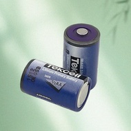 Korean Tekcell SB-AA02 battery with plug replaces KTS ER14250 3.6V Delta PLC lithium battery Origina