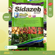 Fungisida Sidazeb Green 80 WP 800Gr Mancizeb 80 % Magic Green Pengendali Jamur tanaman