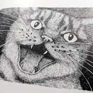 本書採下單後開始尋書/Selina, the Mouse and the Giant Cat