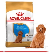 Royal Canin Poodle Puppy Granules for Poodle Puppies
