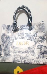 Dior完成品精品紙袋包 320元