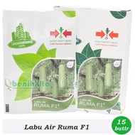 Benih-Bibit Labu Air Ruma F1 (Cap Panah Merah)
