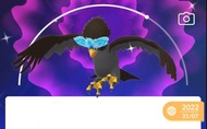 Pokemon GO／Let's Go／Home 閃光精靈 - 洗翠勇士雄鷹