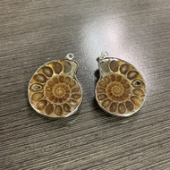 Ammonite Fossil DIY Pendant + Necklace 班彩螺设计款吊坠+ 项链 (1 set 2pcs)