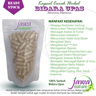 Bidara upas kapsul herbal bidara upas kapsul curah bidara upas kapsul bidara upas