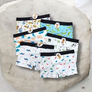 12/6pcs kids Boxer for boys(10-13yrs old)