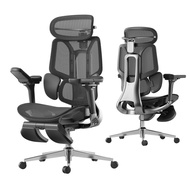 Hbada E3 Pro Ergonomic Office Chair with Dynamic Lumbar Support Adjustable Headrest & Adjustable Arm