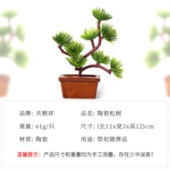 Qiangu Pine Bonsai with Funeral Products Cemetery Funeral Pine Pair Funeral Supplies