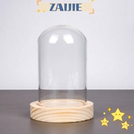 ZAIJIE24 Glass Bell Shape Dome, with Wooden Base  Cloche Glass Dome, Durable Tabletop Centerpiece Easy to Use Practical Bell Jar Display  Home Decor