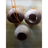 3 Holes Coco Bird House Natural/Coconut Bird House