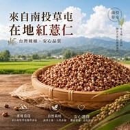 Caozhuer Red Coix Seed (Friendly Cultivation Over Three Years) Caotun Red Coix Seed Nantou Caotun 40