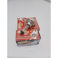 HALOGEN H7 MENTOL/BULB