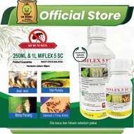 Miflex 5SC(Fipronil 5.0%)Racun Ulat Anai Anai/Semut Kutu/Ubat Termite Killer(Sama Regent/Fipest/Chal