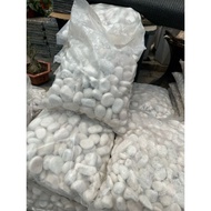 WHITE STONE / WHITE PEBBLES / DECORATION LANDSCAPE / BATU PUTIH (3KG+- 40PCS)