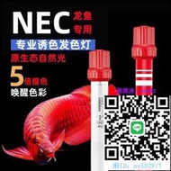 魚缸燈NEC紅龍金龍魚專用發色誘色三基色日光照明燈管T8防水潛水魚缸燈水族燈