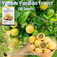 100% Original Rare Yellow Passion Fruit Seeds for Planting (50pcs) Dwarf Passion Fruit Live Plant Ga